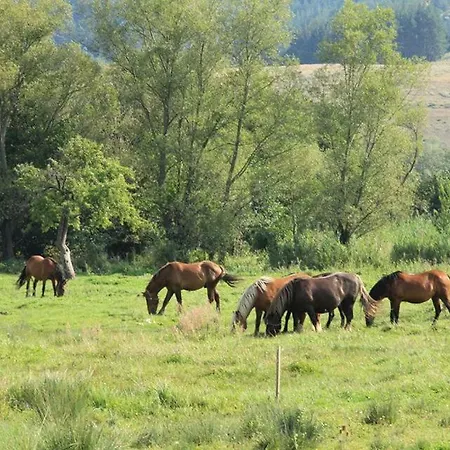 Fortuna Luxury * Банско
