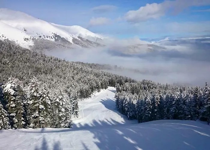 Apartament Fortuna Luxury *