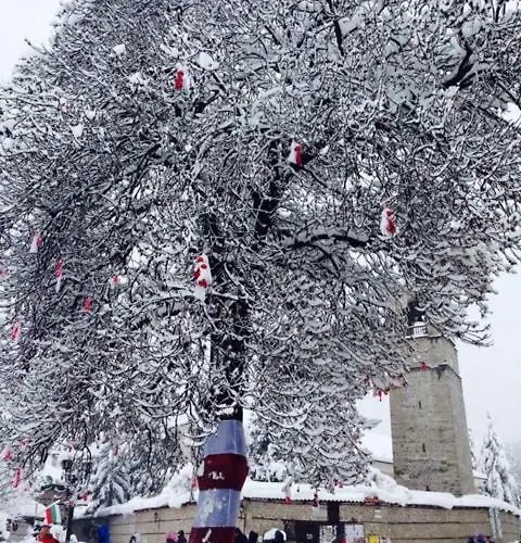 Fortuna Luxury Apartament