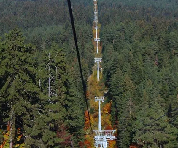 Fortuna Luxury Apartament *