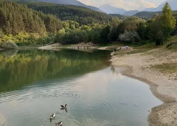 Fortuna Luxury Lejlighed